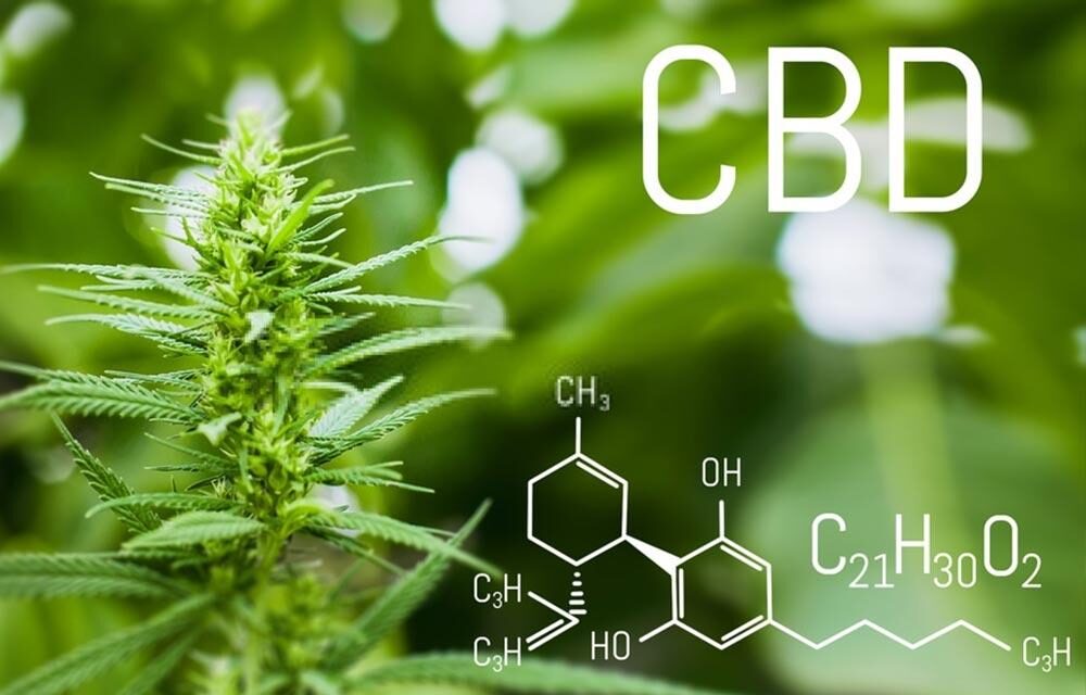 My First Experience With CBD